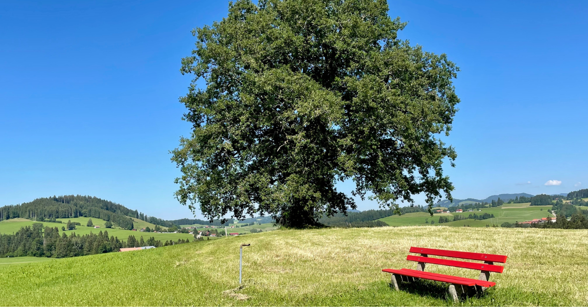 Wenn Du Dein Leben endlich wieder „in Farbe“ lebst: Dein Weg aus dem chronischen Burnout zurück ins Leben